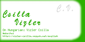 csilla vizler business card